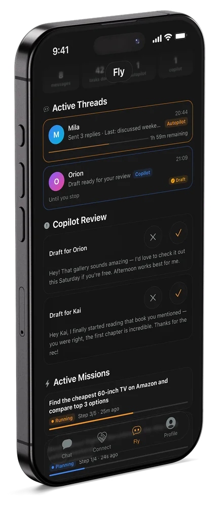 Aiffinity Fly screen
